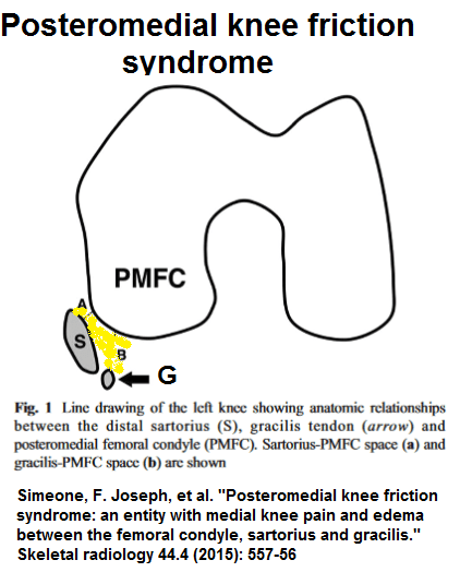 posterolateral